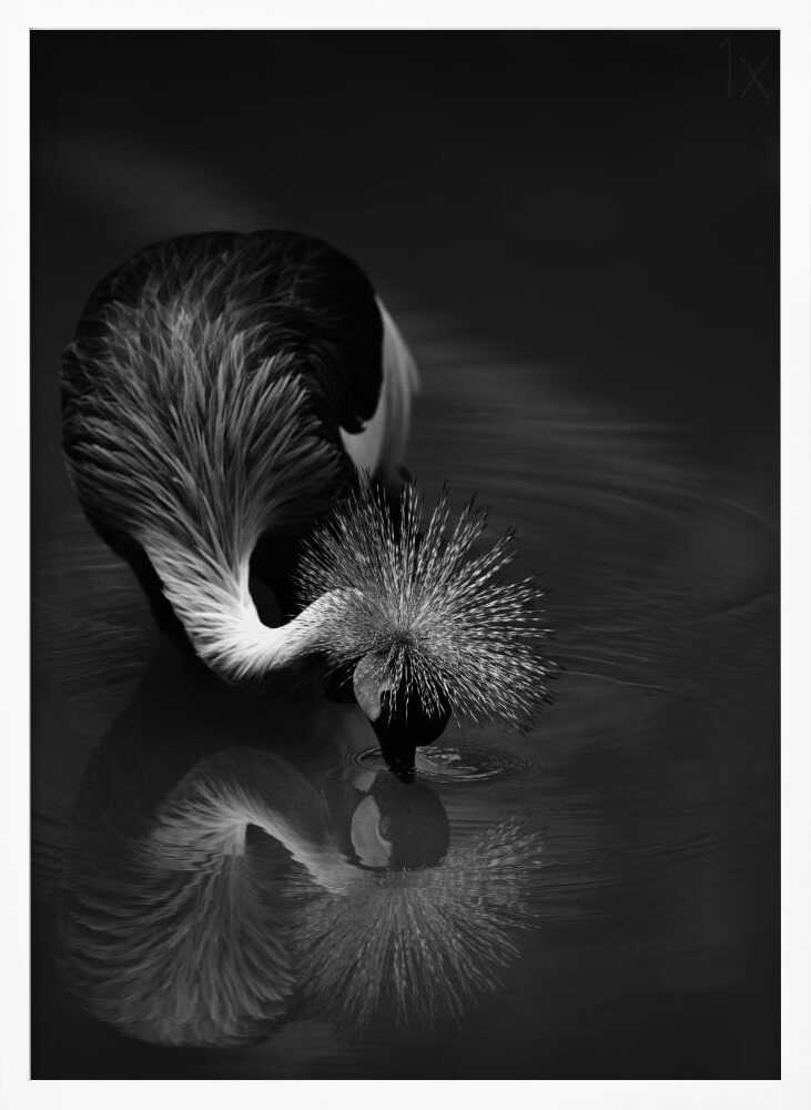 Elegant Crane Reflection Art Print UK — Dark Moody Calm Wall Art — Bedroom — Wall It All Prints