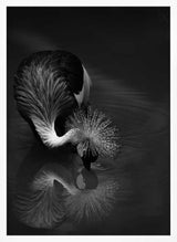 Elegant Crane Reflection Art Print UK — Dark Moody Calm Wall Art — Bedroom — Wall It All Prints