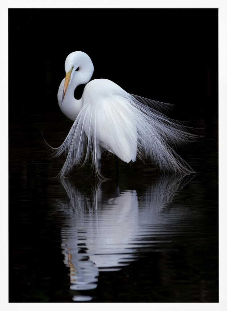 Graceful Egret Reflection Art Print UK — Abstract Calm Wall Art — Bedroom — Wall It All Prints