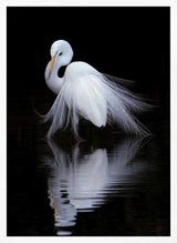 Graceful Egret Reflection Art Print UK — Abstract Calm Wall Art — Bedroom — Wall It All Prints