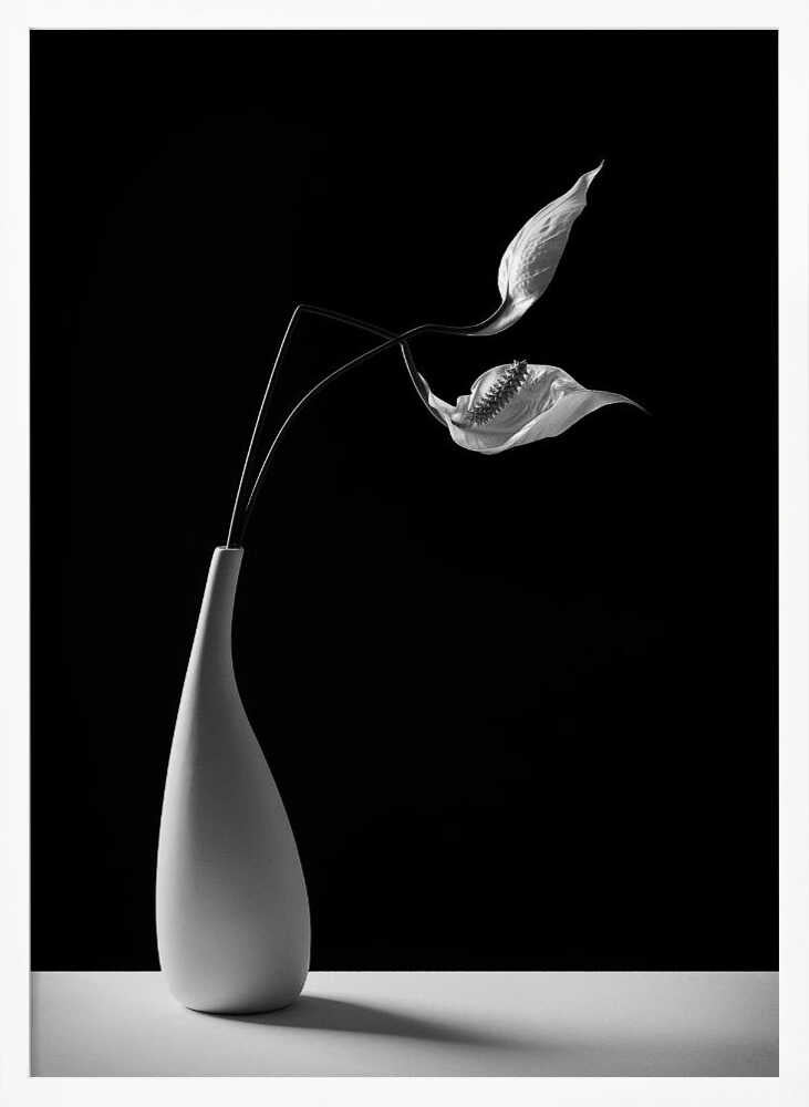 Graceful Peace Lilies Vase Art Print UK — Botanical Calm Wall Art — Office — Wall It All Prints