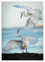 Egrets in Flight Art Print UK — Landscape Elegant Wall Art — Living Room — Wall It All Prints
