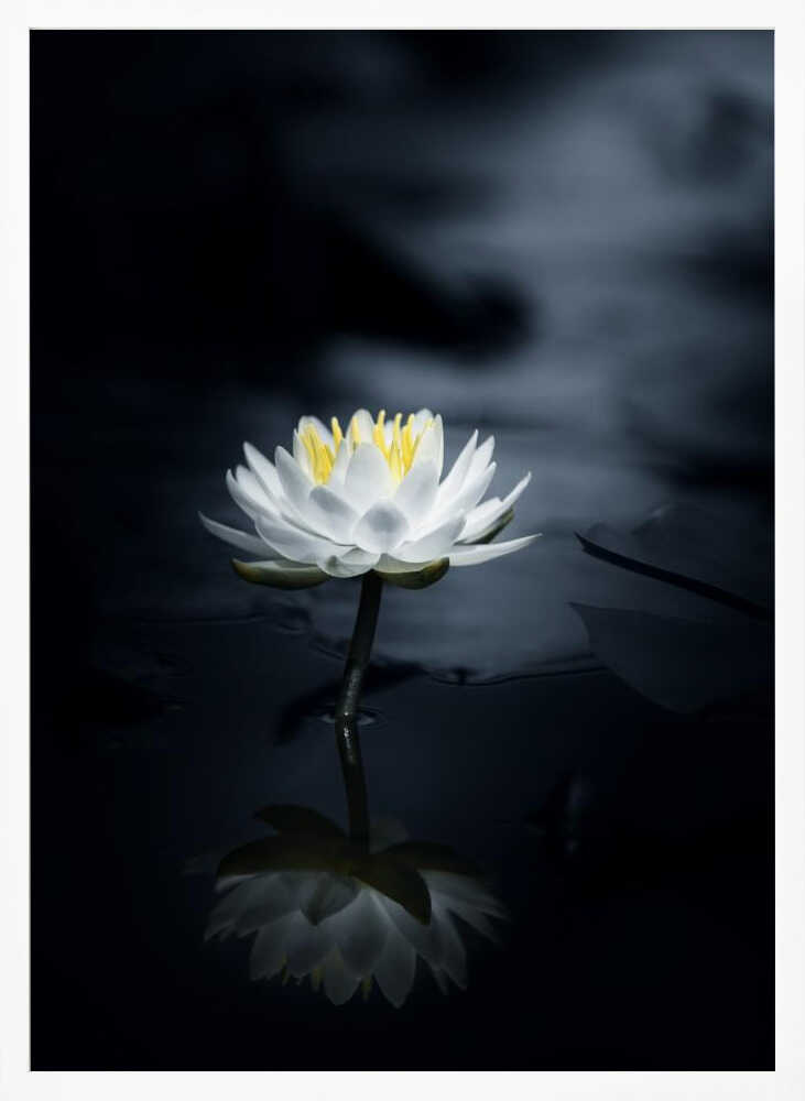 White Lotus Reflection Art Print UK — Japanese Calm Wall Art — Bedroom — Wall It All Prints