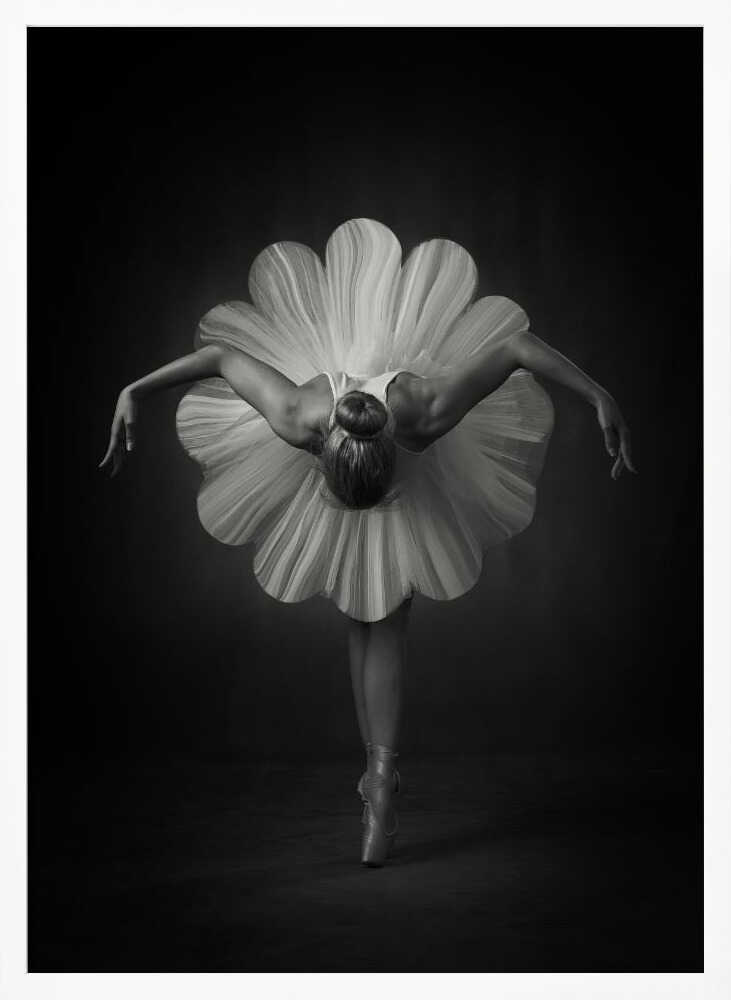 Elegant Ballet Bloom Art Print UK — Botanical Dark Wall Art — Living Room — Wall It All Prints