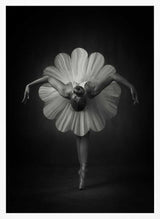 Elegant Ballet Bloom