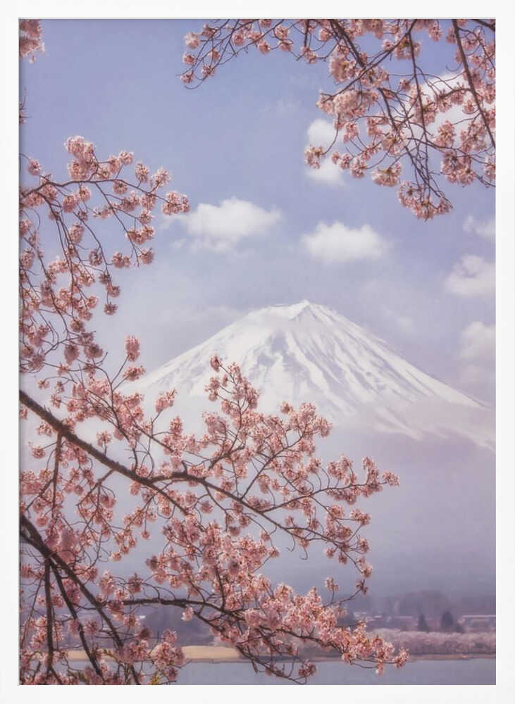 Mount Fuji Cherry Blossoms Art Print UK — Japanese Calm Wall Art — Living Room — Wall It All Prints