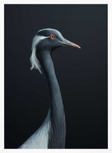 Demoiselle Crane Profile Art Print UK — Abstract Dark Wall Art — Office — Wall It All Prints