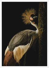 Regal Crowned Crane Art Print UK — Dark Moody Vibrant Wall Art — Living Room — Wall It All Prints