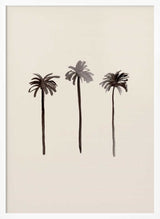 Tropical Palm Silhouettes