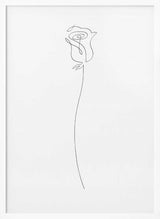 Elegant Rose Line Art