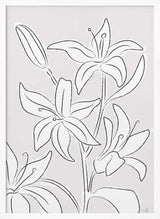 Minimalist Lily Blooms