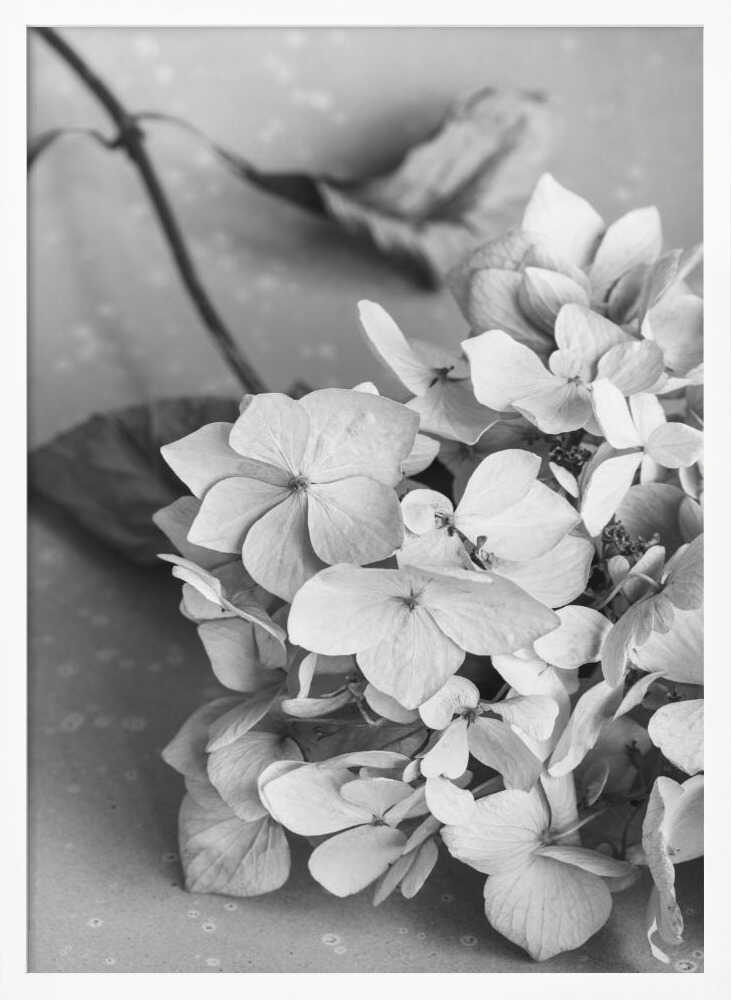 Monochrome Hydrangea Still Life Art Print UK — Botanical Calm Wall Art — Bedroom — Wall It All Prints