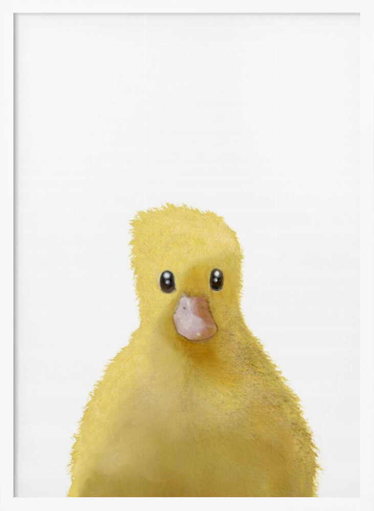Cute Yellow Chick