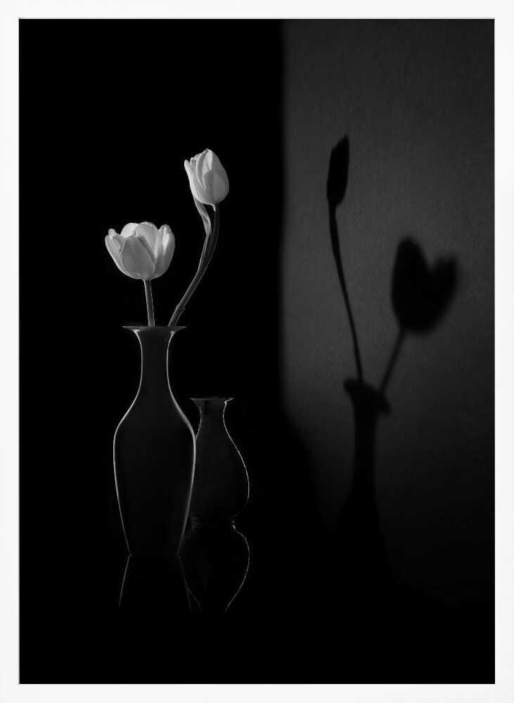 White Tulips and Shadows Art Print UK — Botanical Calm Wall Art — Bedroom — Wall It All Prints