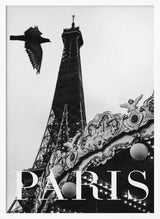 Paris Dove Art Print UK — Vintage Dark Wall Art — Living Room — Wall It All Prints