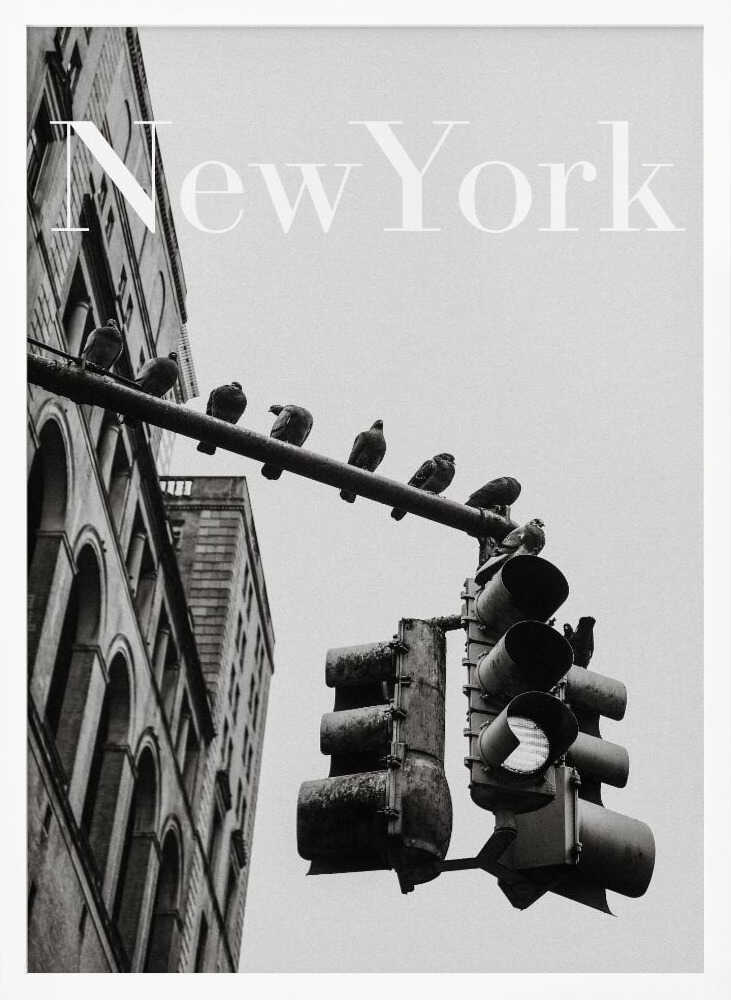NYC Doves Art Print UK — Vintage Dark Wall Art — Living Room — Wall It All Prints