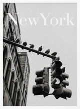 NYC Doves Art Print UK — Vintage Dark Wall Art — Living Room — Wall It All Prints