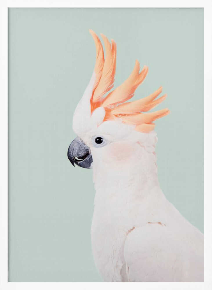Cockatoo Art Print UK — Animal Vibrant Wall Art — Living Room — Wall It All Prints