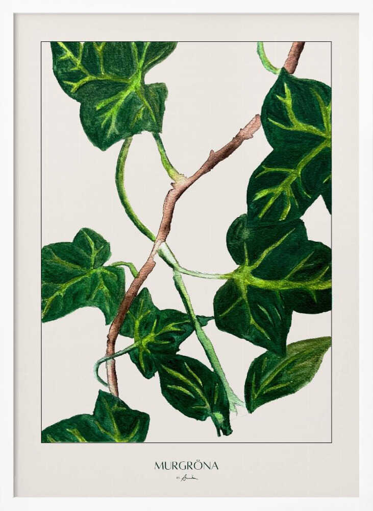 Green Ivy Botanical Art Print UK — Botanical Vibrant Wall Art — Living Room — Wall It All Prints
