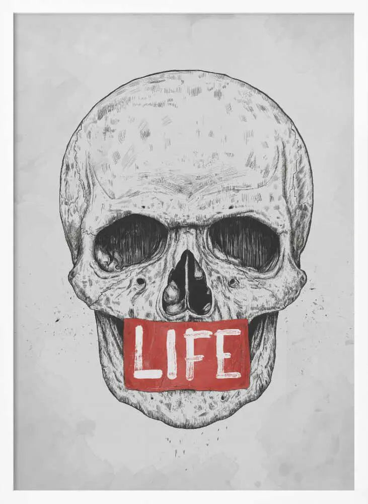 Skull of Life