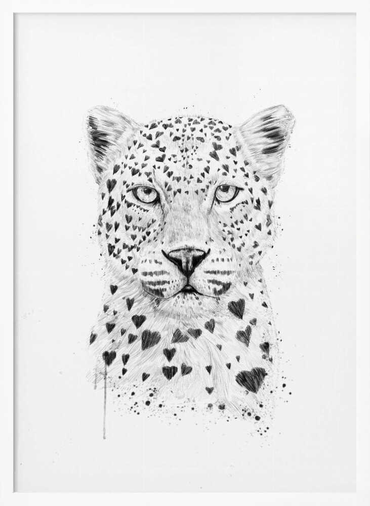 Heart Spotted Leopard