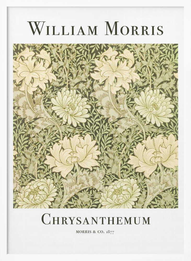 Chrysanthemum Art Print UK — Botanical Fresh Wall Art — Living Room — Wall It All Prints