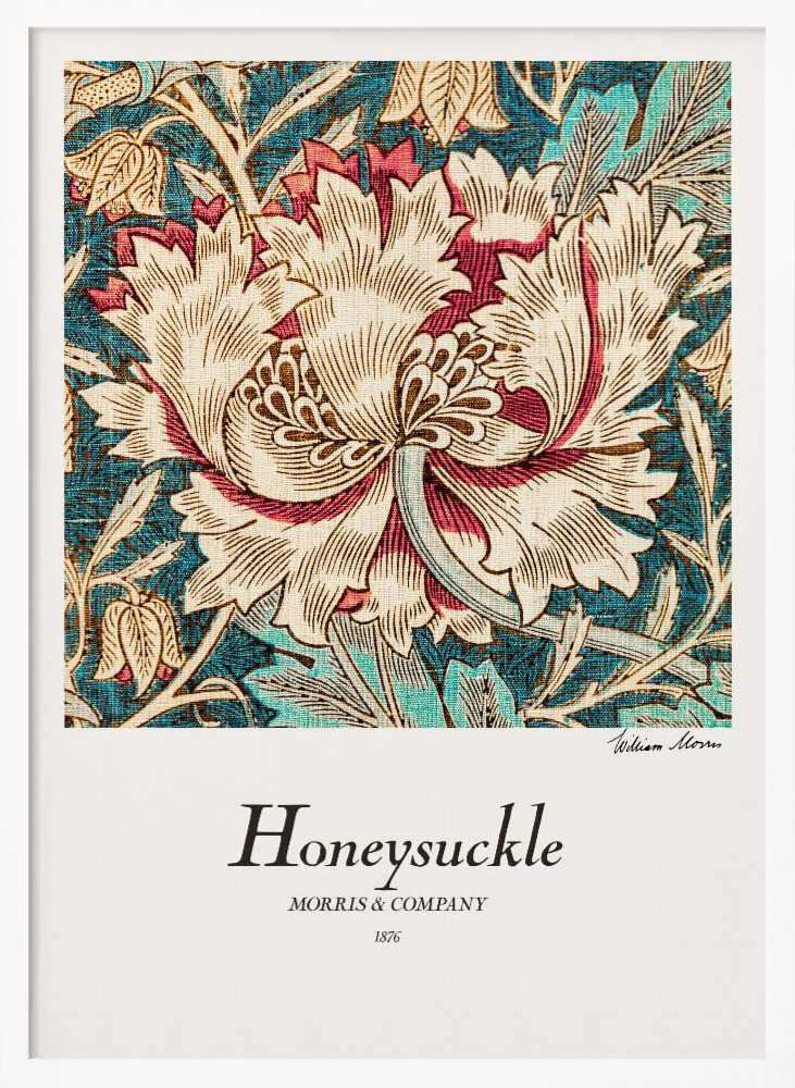 Honeysuckle Art Print UK — Botanical Warm Wall Art — Living Room — Wall It All Prints