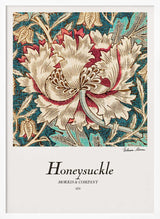 Honeysuckle