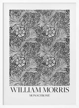 Marigold Monochrome
