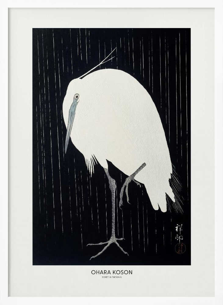 Egret In The Rain