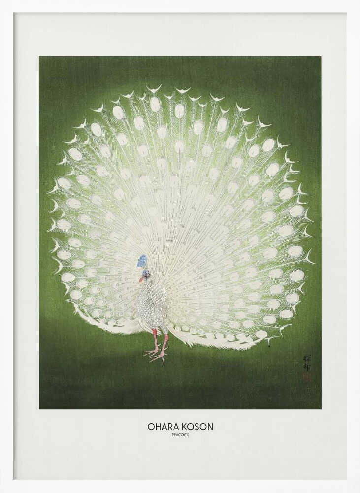 Peacock - Wide Art Print UK — Japanese Fresh Wall Art — Living Room — Wall It All Prints