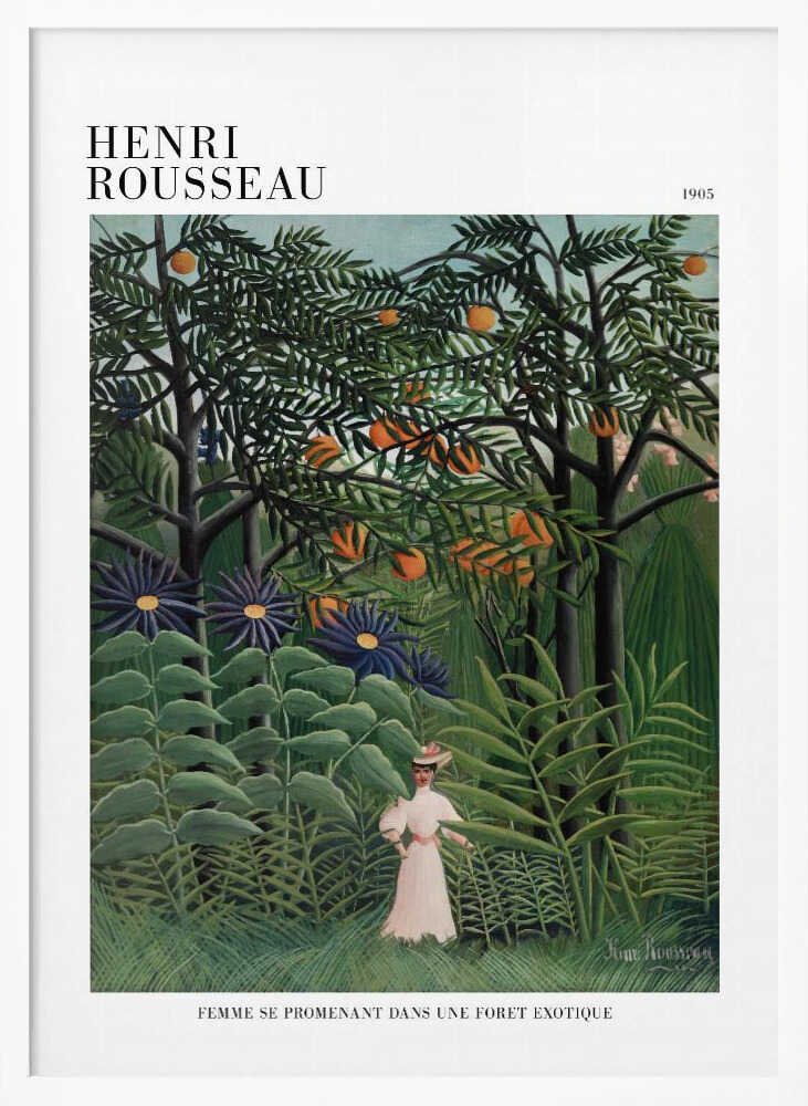 Femme Se Promenant Dans Une Foret Exotique