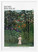 Femme Se Promenant Dans Une Foret Exotique