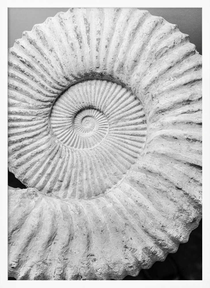 Ancient Spiral Dreams Art Print UK — Abstract Dark Wall Art — Office — Wall It All Prints