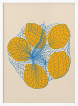 Five Lemons In a Net Bag