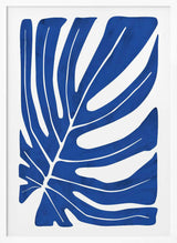 Deep Blue Monstera
