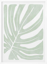 Sage Green Monstera Leaf