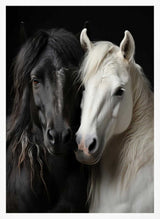 Elegant Horse Companions