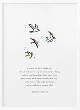Worry Not Birds ART of living
