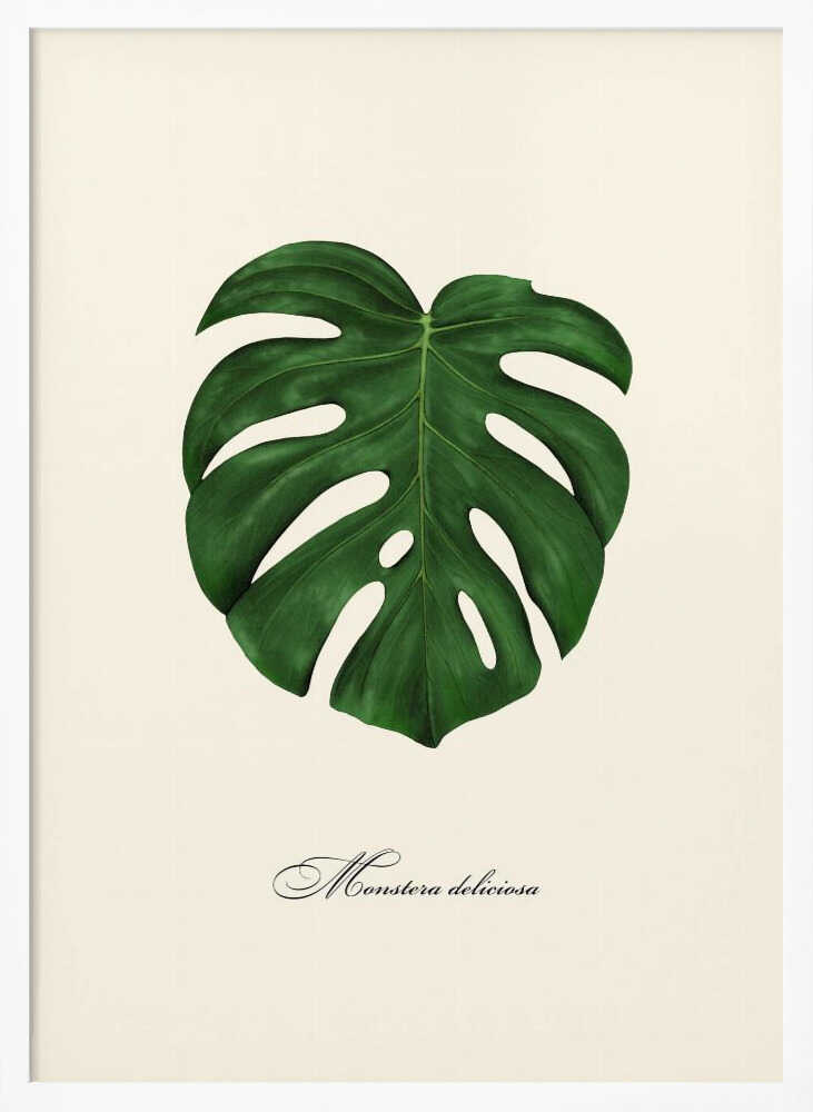 Monstera Deliciosa Leaf Art Print UK — Botanical Vibrant Wall Art — Living Room — Wall It All Prints