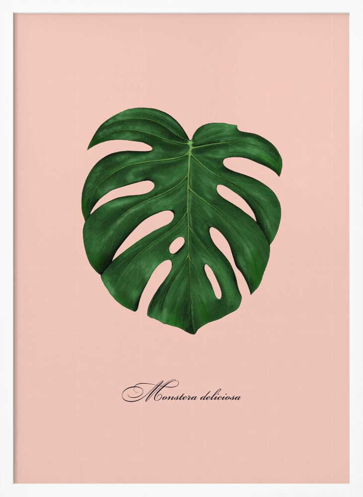Tropical Monstera Leaf Art Print UK — Botanical Fresh Wall Art — Living Room — Wall It All Prints