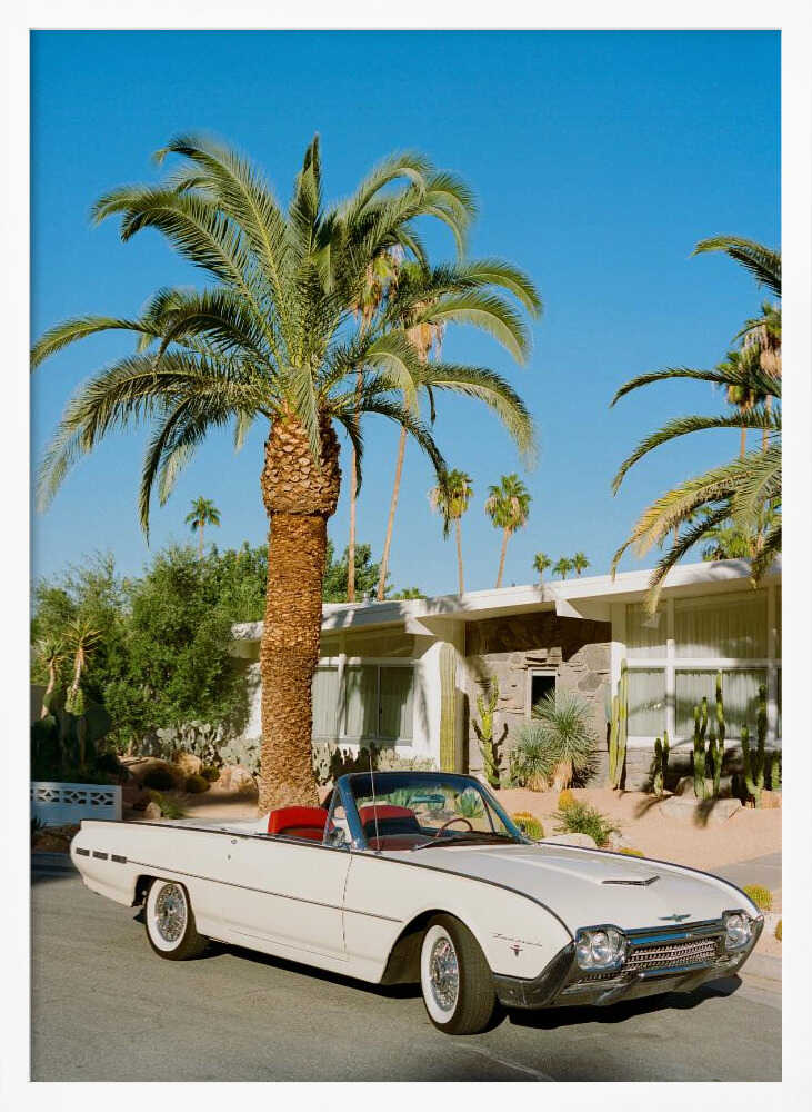 Palm Springs Classic Car Art Print UK — Botanical Minimal Wall Art — Living Room — Wall It All Prints