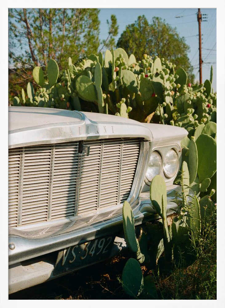 Vintage Car Desert Bloom Art Print UK — Botanical Fresh Wall Art — Living Room — Wall It All Prints