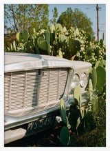 Vintage Car Desert Bloom Art Print UK — Botanical Fresh Wall Art — Living Room — Wall It All Prints