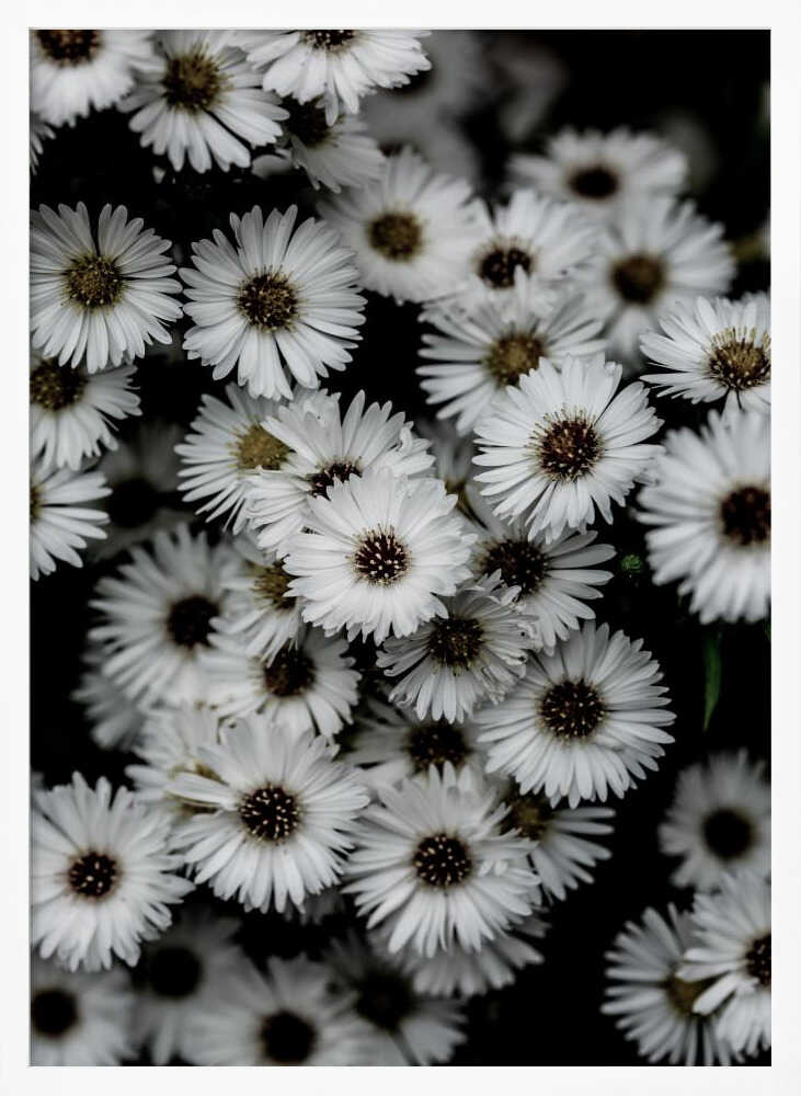 Tiny Flowers 3 Art Print UK — Botanical Fresh Wall Art — Living Room — Wall It All Prints