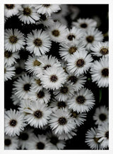 Tiny Flowers 3