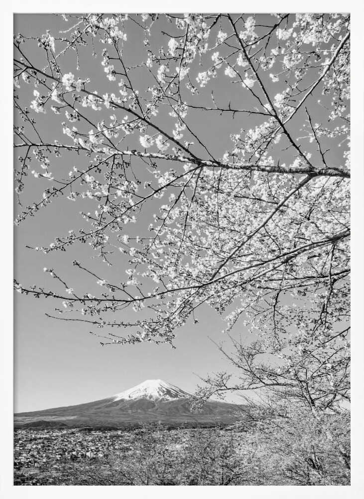 Mount Fuji Cherry Spring Art Print UK — Japanese Calm Wall Art — Living Room — Wall It All Prints