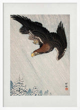 Eagle Flying In Snow (1933)