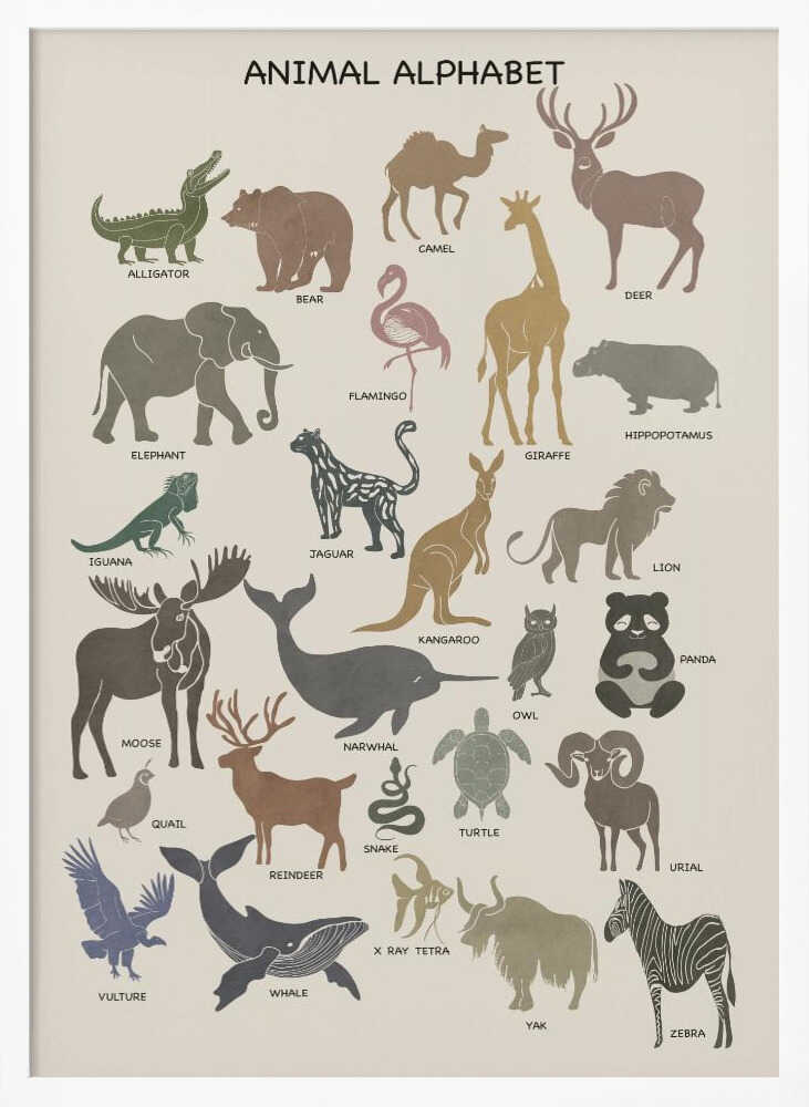 Charming Animal Alphabet
