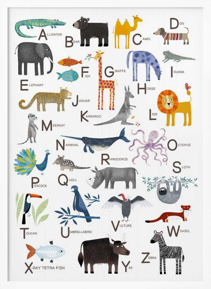 Colorful Animal Alphabet